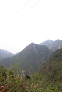 江油 吴家后山 