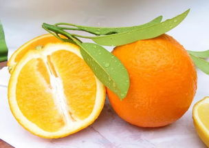 橙子是热性还是凉性,橙子是热性还是凉性相关了解点第10点