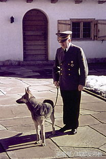 希特勒和他的爱犬布隆迪 