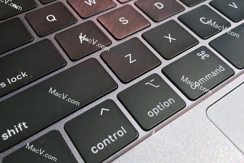 苹果键盘快捷键怎么关闭(macbook一按空格键就切换)