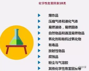 证券公司的风险控制是做什么的？