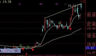 山东黄金（600547）复牌后怎么样啊，是涨还是跌？谢谢指教！