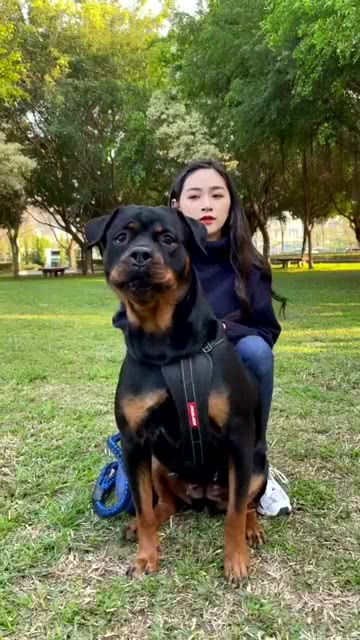 女人为什么喜欢养大型犬 