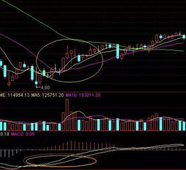 请老师将股价资金线上穿资金生命线金叉作个选股公式，谢谢