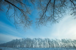 如何拍出漂亮的雪景照片 