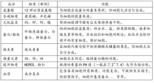 化学实验如何备考 这三点请记好 