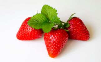 饭后吃能减肥的水果有哪些 饭后吃哪些水果能瘦身