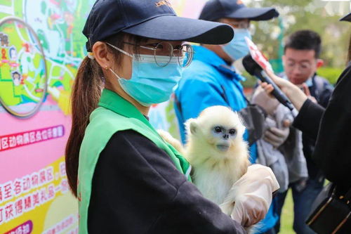 首届动物宝宝选名会 顺利开幕 动物宝宝们叫啥名 由你来定哦