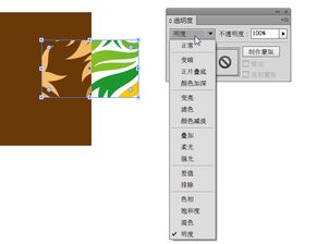 哪位高手知道Ai里面怎么做出这个效果 两张图片叠加到一起就变了 