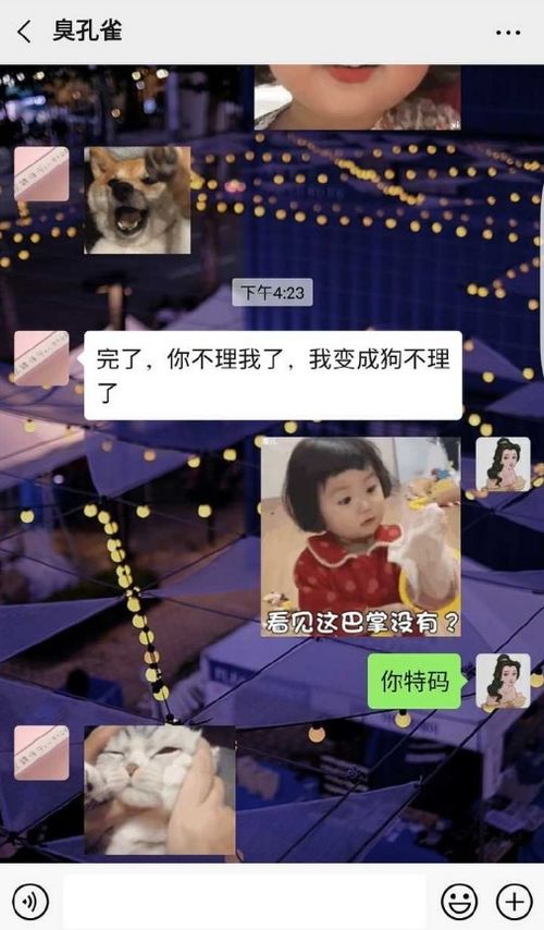 女生跟男友聊天,没想到被对方一句话气哭了 ,网友 笑出声