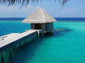 马尔代夫选岛攻略新最新的海岛旅行指南（马尔代夫海岛推荐）