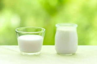 孕期能喝牛奶和酸奶吗