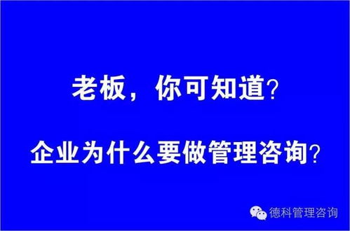 司达企业咨询有限公司主要是做什么的？怎么样？