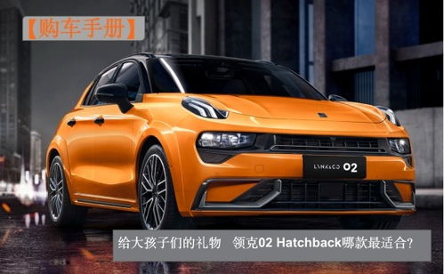 买顶配就对了 领克02 Hatchback购车手册