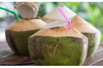 怎样做椰子汁 椰子汁的材料和做法步骤