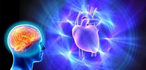 心跳一加速,大脑就懵了 心跳加速会劫持神经元,影响大脑决策