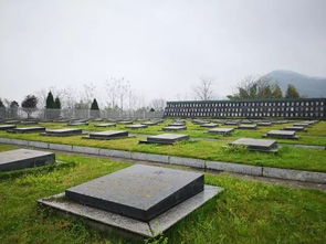 请帮忙扩散 一德庆战士长眠于湖北省烈士墓群,正在寻找后人