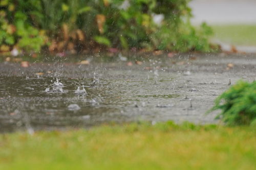 夏至到来,农村谚语 夏至大晴天,无雨到秋边 ,什么意思