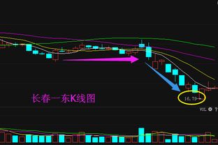 推荐一只股票从基本面分析