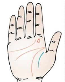 三角纹在手掌中意味着什么