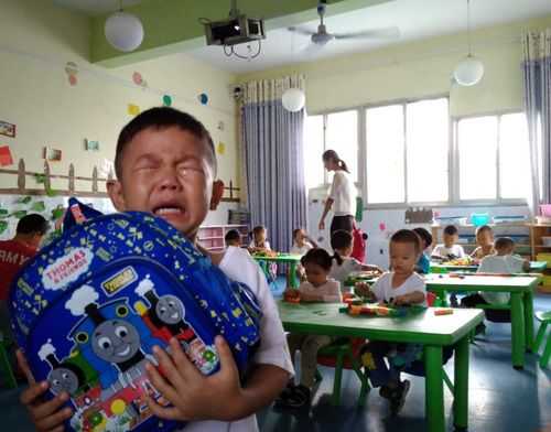 如果学生没天赋,家长别让他提前上学,多帮孩子提升其他方面能力