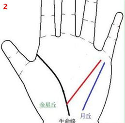 如何看手相知道是否适合做生意,算网教你看手相 