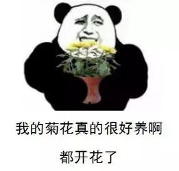 菊花好痒,挠还是不挠