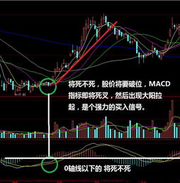 双线macd不显示