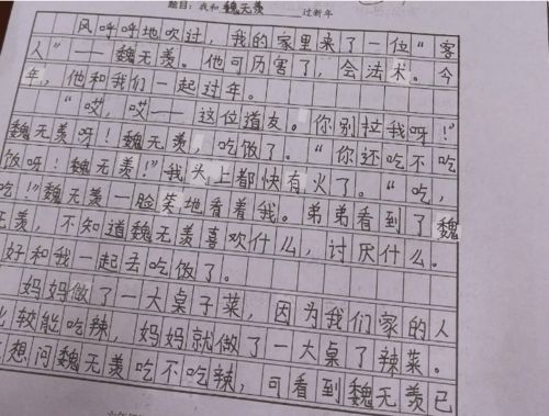 爱吃辣的爸爸作文