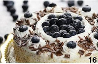 怎样自制美味的蓝莓装饰蛋糕 