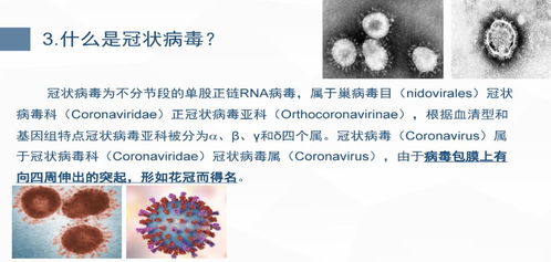 新冠从发病到治愈多久（新型冠状肺炎从发病到治愈需要多久） 第1张