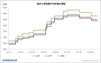 酒糟价格震荡调整，短期市场行情走势如何