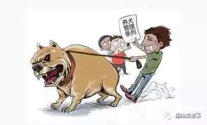 江夏人大对江夏部分地区限制养犬进行民意调查 