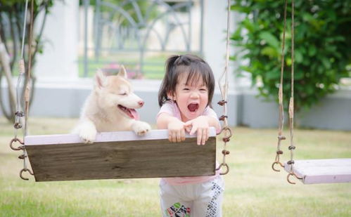 还在教孩子学走路 不 会走路不是教出来的,是自己探索出来的