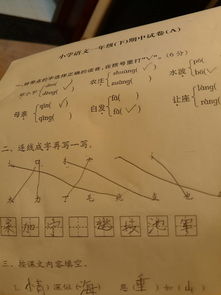 请问一下毛应该和哪个偏旁组成字 