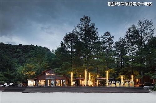 浙江湖州安吉 悠隐南山 优劣势深度解析 官方网站