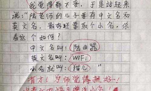 小学生因 名字 走红网络,连名带姓一共5笔,没有一笔是弯的