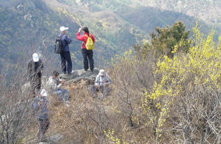 清明过后春季运动要保护腰膝关节,哪些老人不宜登山 