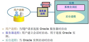 查重机制全解析：提升内容原创性的秘诀