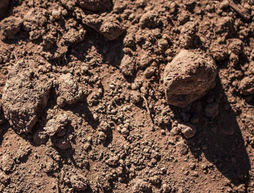 泥土加石子给猫用可以吗,用泥石代替猫砂好吗 