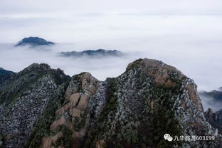 太美 九华山迎来今冬首场雾凇奇观,高海拔地区明天或会有降雪