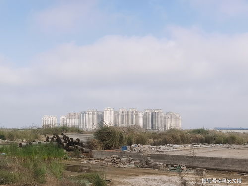 海花岛房价暴涨,海花岛房价未来趋势