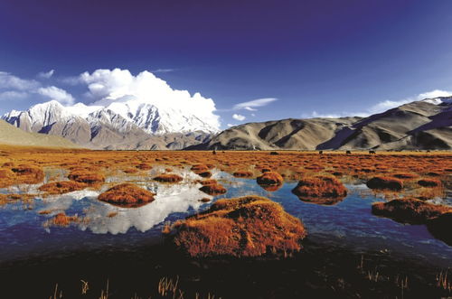 新疆克州阿克陶天气预报