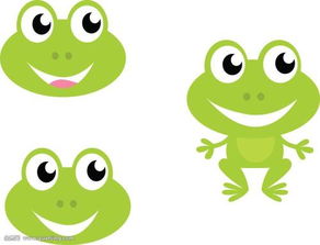 青蛙代表什么生肖,梵林文化-九宫八卦牌上的青蛙