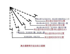 学车技巧 I 倒车入库练完不总结,100次模拟也照样挂科