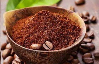 咖啡渣如何发酵成花肥,咖啡渣如何发酵成花肥