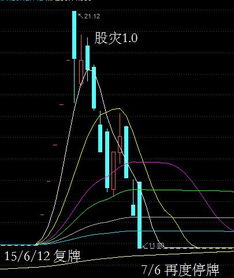 企业或个人关于上市公司股票增发的购买如何操作,需要什么条件,急求?