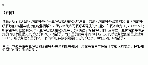 微格教学教案氧气的化学性质10分钟模板_氧气性质的教学目标_氧气性质的教案