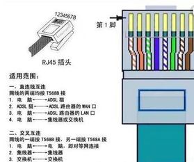 网线线序及颜色（正确的网线的顺序图） 第1张