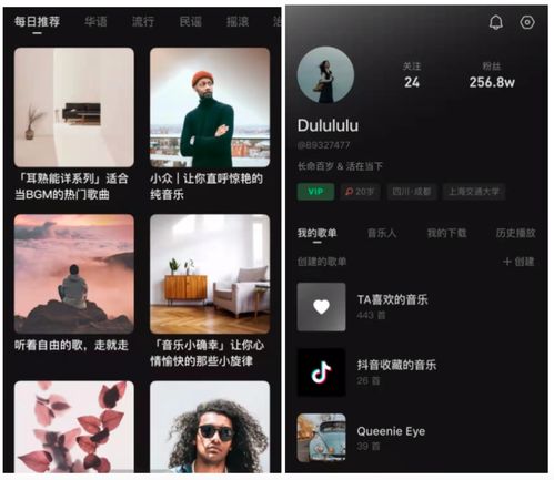 抖音测试首款音乐App汽水音乐,腾讯网易迎来新对手